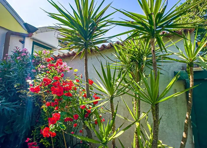 Vigentino *